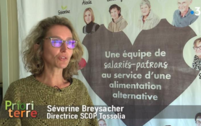 Tossolia : un fabricant de tofu éthique qui le revendique !